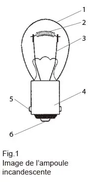 AMPOULES HINO, HINO LIGHT BULBS